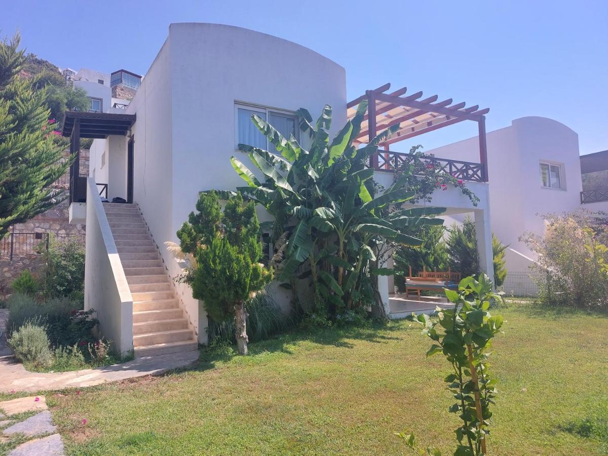 Ibak Apartments Gümüşlük Eksteriør billede